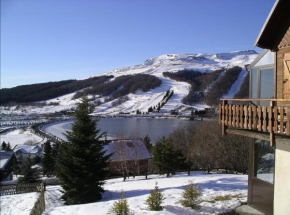 Chalet- Capacité 8/10 pers au cœur de la station Besse-Et-Saint-Anastaise